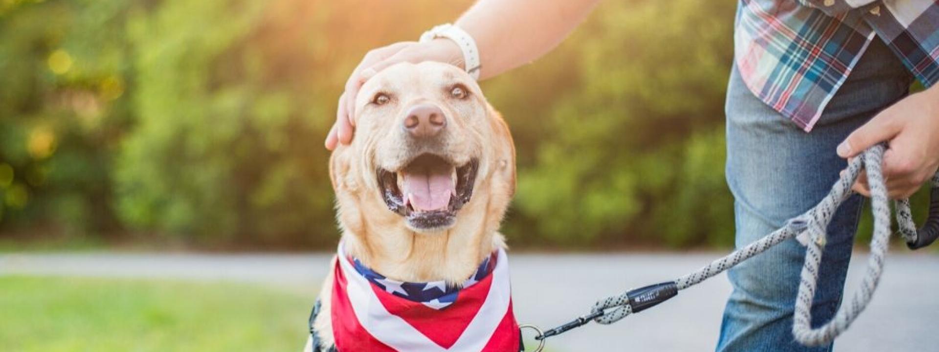 keep-pets-safe-4th-july.jpg